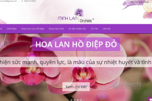 Shop Hoa Minh Lan